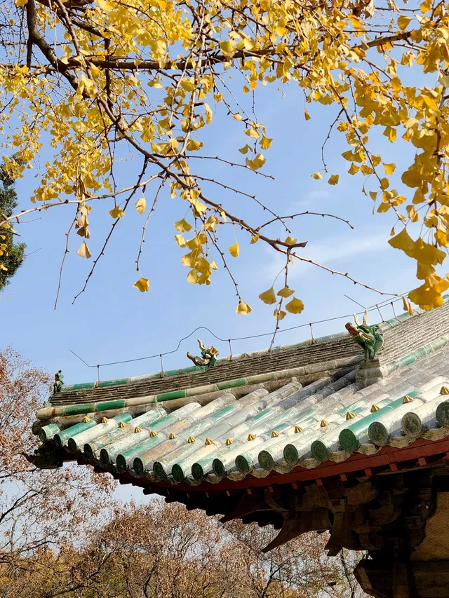 我宣佈,這是我河南最中意的小木頭房子 我宣佈,這是我河南最中意的小木頭房子