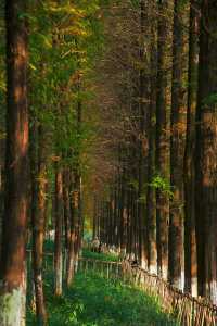 成都市區免費公園 | 升仙湖Citywalk