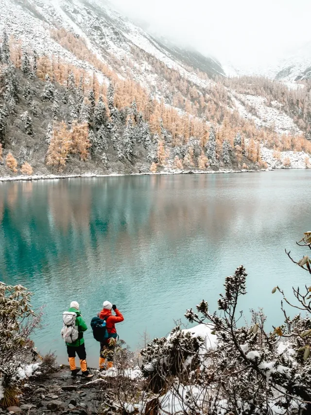 黨嶺3天2夜徒步攻略(不露營版) 黨嶺3天2夜徒步攻略(不露營版)