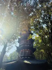 上海 |登佘山之巔,聆聽時光頌詩