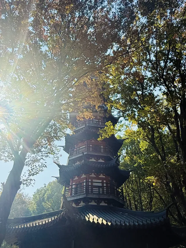 上海 |登佘山之巔,聆聽時光頌詩 上海 |登佘山之巔,聆聽時光頌詩