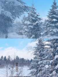 一場說走就走的雪嶺朝聖誰不愛這片北國雪鄉!