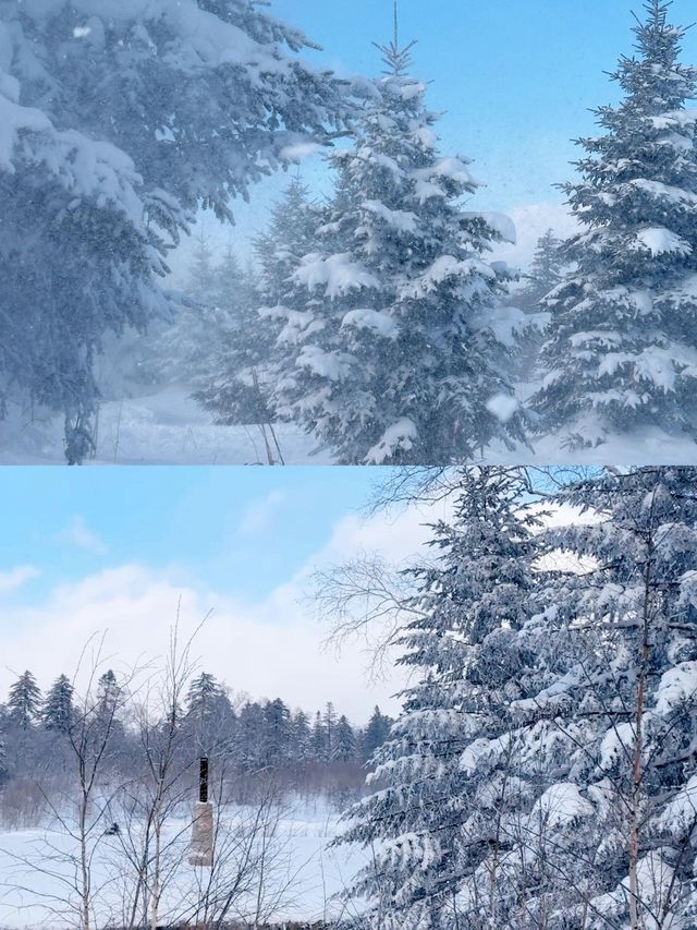 一場說走就走的雪嶺朝聖誰不愛這片北國雪鄉! 一場說走就走的雪嶺朝聖誰不愛這片北國雪鄉!