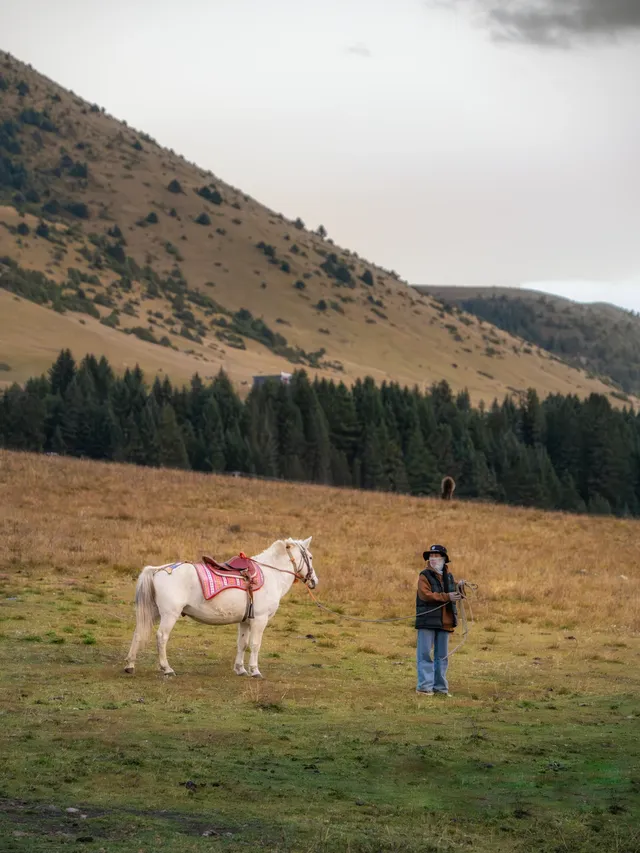 川西之西|甘孜317環線,一文講清楚! 川西之西|甘孜317環線,一文講清楚!