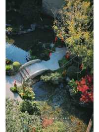 旗山湖悅湖,住這裡太治癒