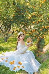 週末遛娃必去橘子園