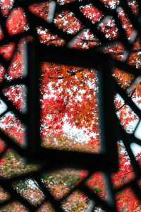 蘇州園林秋景美如畫一秒穿越古代當住園主人