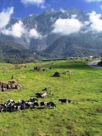 淡季的亞庇真係人間理想！！！