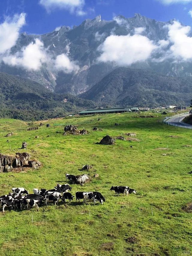 淡季的亞庇真係人間理想！！！