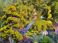 共青森林公園菊花展美翻啦