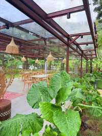 救命日月灣住了根本不想出門……