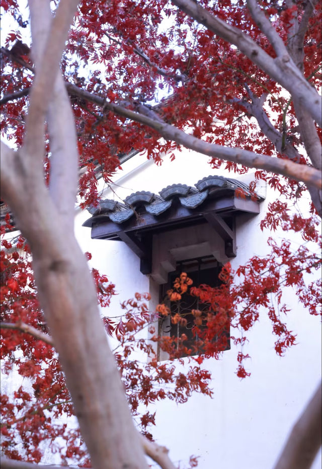 從千年古街到潮玩夜市，這份旅拍攻略藏著城市密碼