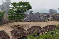 古茶聖地景邁山