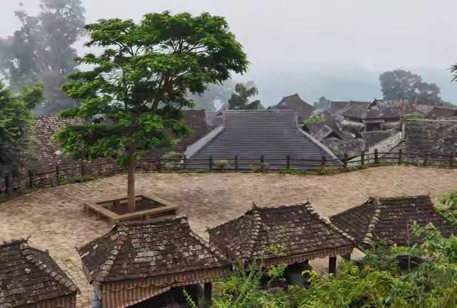 古茶聖地景邁山