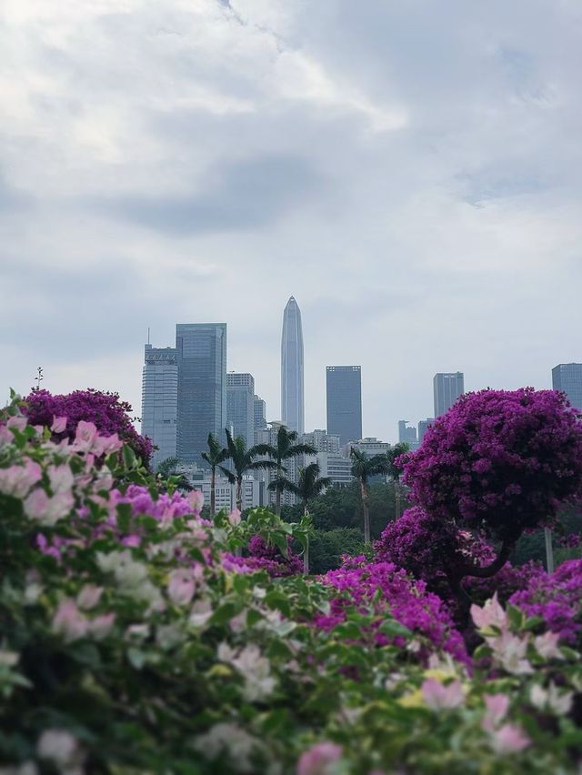 深圳必打卡|蓮花山公園保姆級攻略仰望偉人俯瞰城! 深圳必打卡|蓮花山公園保姆級攻略仰望偉人俯瞰城!