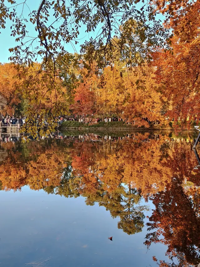 天平山‖我宣布我找的機位拍得最好看~ 天平山‖我宣布我找的機位拍得最好看~