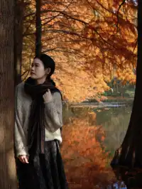 12.1明孝陵實況,落羽杉美到失語了