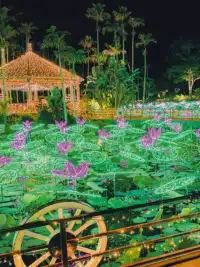 12月來沖繩過聖誕！