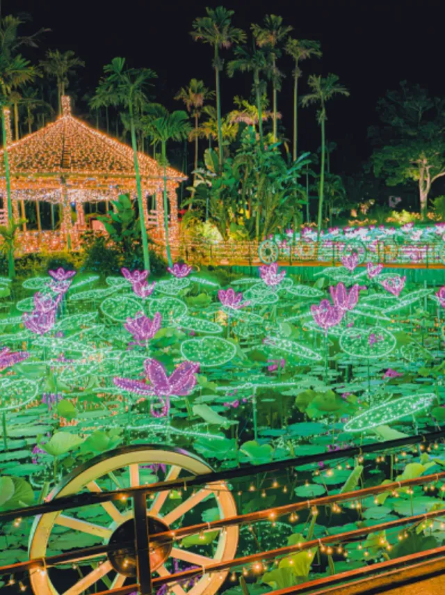 12月來沖繩過聖誕！