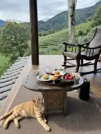 武夷山週末遊|兩日一晚吸氧飲茶計劃🫖