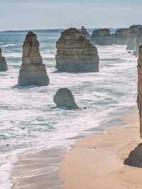 1天澳洲包車遊 輕鬆走遍熱門打卡地