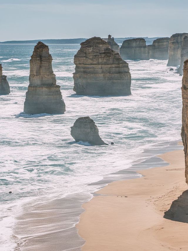 1天澳洲包車遊 輕鬆走遍熱門打卡地 1天澳洲包車遊 輕鬆走遍熱門打卡地