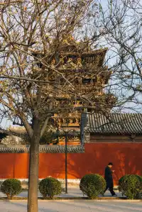 今天只想坐在飛雲樓這面牆下曬太陽