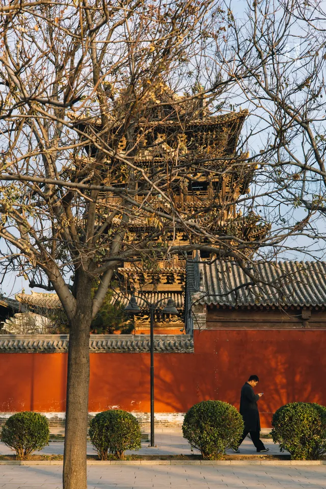 今天只想坐在飛雲樓這面牆下曬太陽