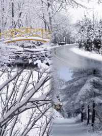 西安秦嶺12月封神|闖入冰雪秘境,美到不想下山