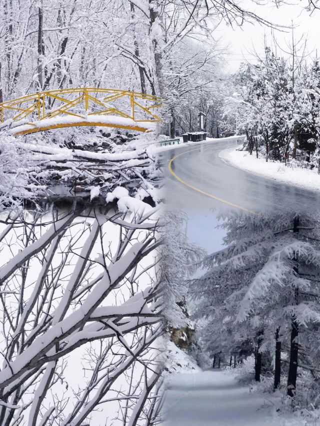 西安秦嶺12月封神|闖入冰雪秘境,美到不想下山 西安秦嶺12月封神|闖入冰雪秘境,美到不想下山