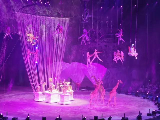 普通票廣州長隆大馬戲C位攻略 普通票廣州長隆大馬戲C位攻略