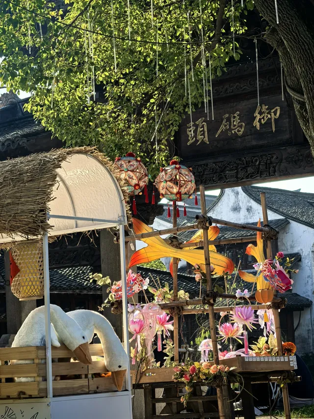 上海週末11|我在乾隆故里拍到了鵝生照片