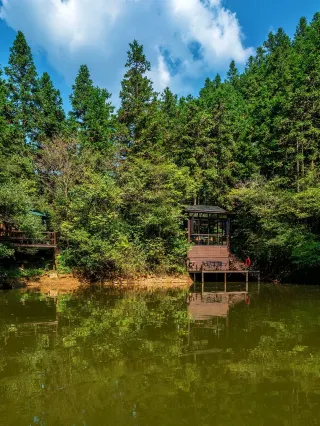 Niche vacationers rejoice! The forest-style secret realm of Huangshan is really great