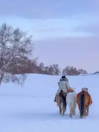 放棄哈爾濱了,帶娃衝高鐵直達的烏蘭布統