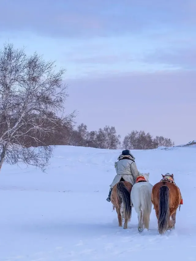 放棄哈爾濱了,帶娃衝高鐵直達的烏蘭布統 放棄哈爾濱了,帶娃衝高鐵直達的烏蘭布統