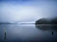 什麼!原來塔斯馬尼亞的鴨嘴獸都在這!!