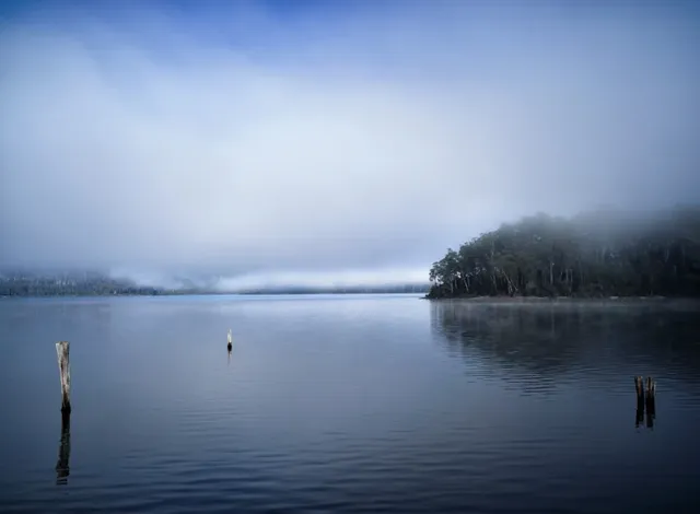 什麼!原來塔斯馬尼亞的鴨嘴獸都在這!! 什麼!原來塔斯馬尼亞的鴨嘴獸都在這!!