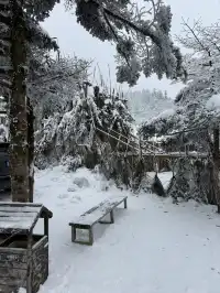 神農架冬日童話|闖入南國最純淨的雪國