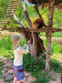 二次遊版納！一點都不累！小朋友說比迪士尼更好玩。