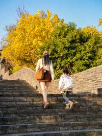 虞山秋日限定常熟紅葉美翻了丨附機位