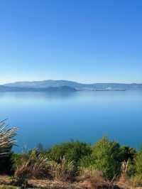 走進畫裡|滇池邊的樹與水與風都是自由的