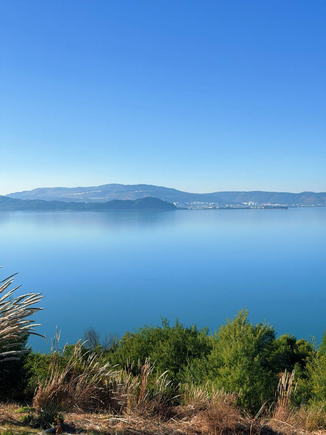 走進畫裡|滇池邊的樹與水與風都是自由的 走進畫裡|滇池邊的樹與水與風都是自由的