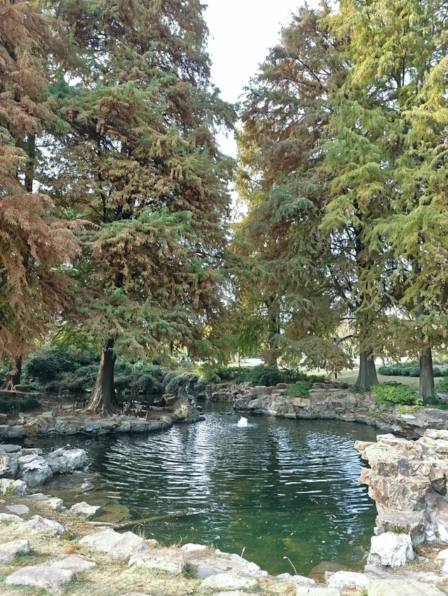 上海植物園一日遊 上海植物園一日遊