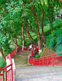 重慶渝中旅遊丨半山崖線藏著茶馬古道的痕跡