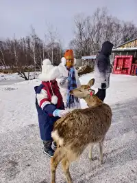 東北7天6晚遛娃玩雪特種兵攻略