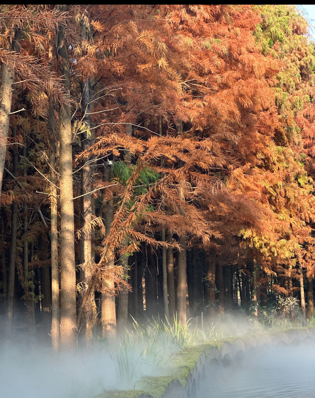 尚湖秋日醉美秘境 尚湖秋日醉美秘境