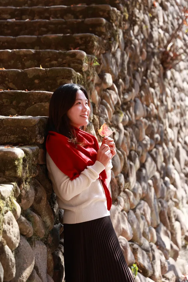 永嘉紅楓古道的紅楓紅了 永嘉紅楓古道的紅楓紅了