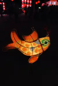 黃山·呈坎|看「東風夜放花千樹」「一夜魚龍舞」