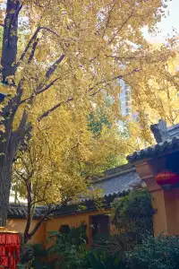 12.6 湖州秋景city walk路線