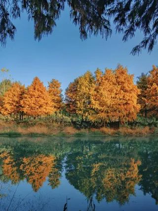 Changzhou has its own Jiuzhaigou! Capture oil painting-like masterpieces for free